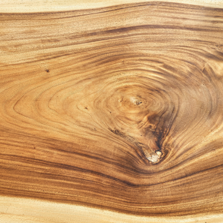 Suar wood grain close up