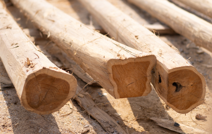 Teak wood logs laid on the ground