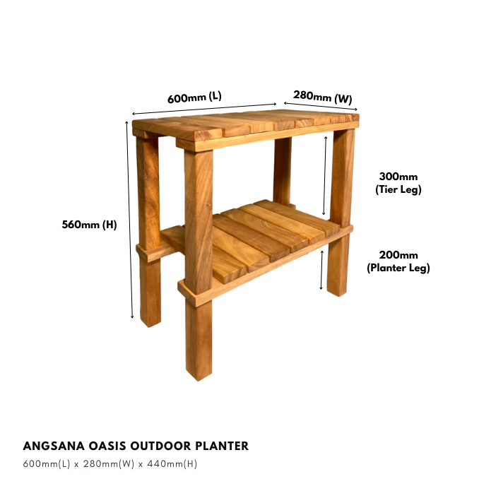 Angsana Oasis Planter - DIY Series