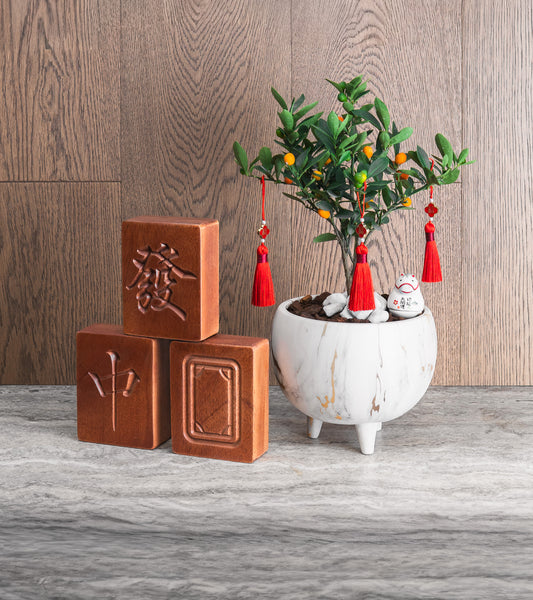 CNY Mahjong + Kumkuat Bundle