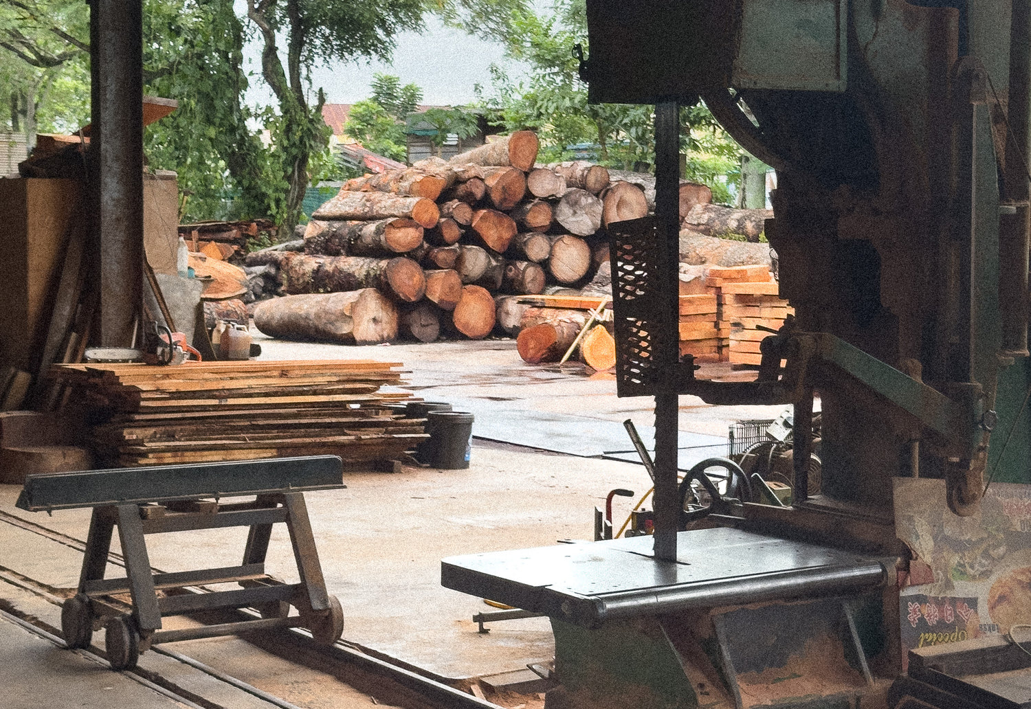 Solid wood factory logs processing in Singapore