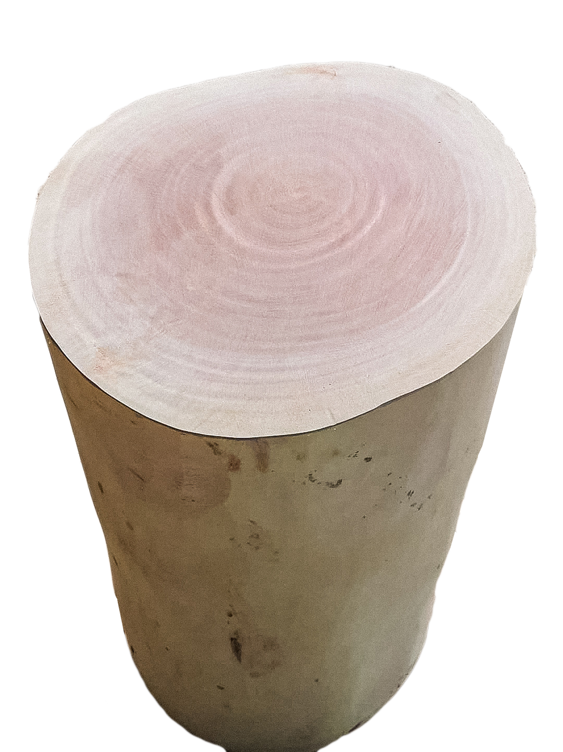 Tree Stump – Timber Actually
